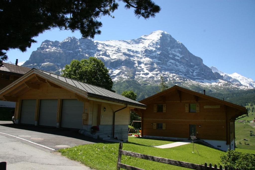 Chalet Baergbaechli גרינדלוולד מראה חיצוני תמונה