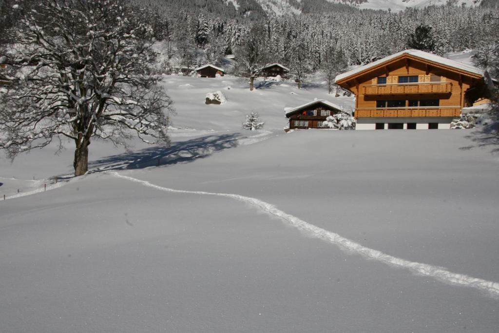 Chalet Baergbaechli גרינדלוולד מראה חיצוני תמונה