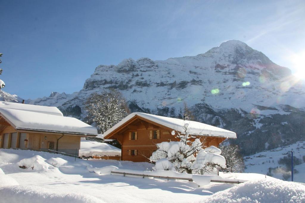 Chalet Baergbaechli גרינדלוולד מראה חיצוני תמונה